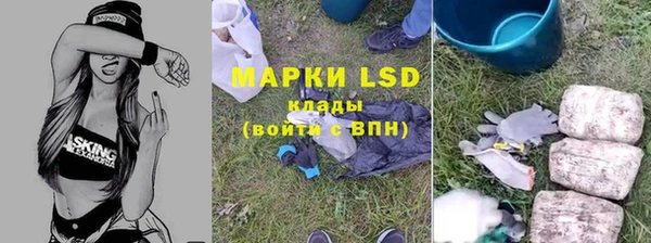 mdma Дмитров